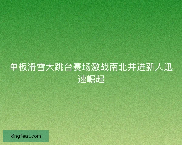 单板滑雪大跳台赛场激战南北并进新人迅速崛起