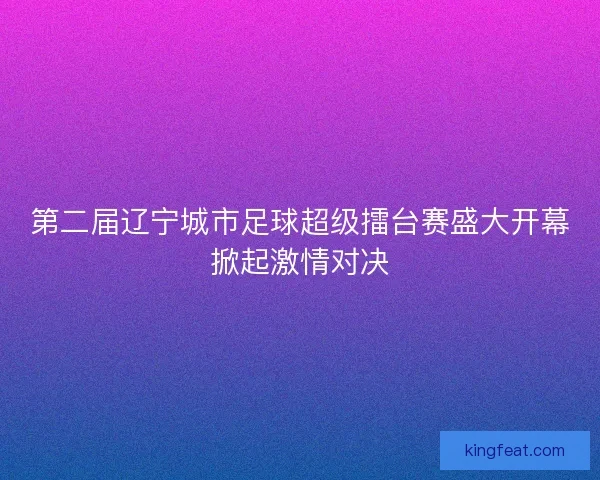 第二届辽宁城市足球超级擂台赛盛大开幕掀起激情对决