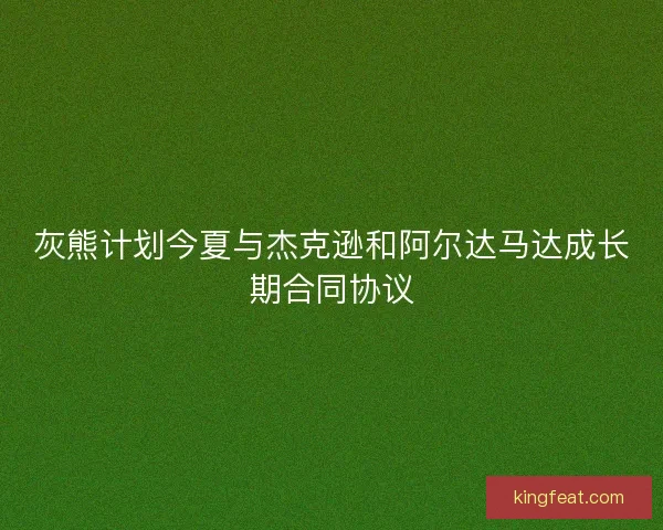 灰熊计划今夏与杰克逊和阿尔达马达成长期合同协议